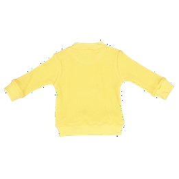 Overview second image: shirt sh.sl pocket