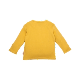 Overview second image: shirt ls rib