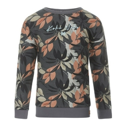 Overview image: Sweater ls