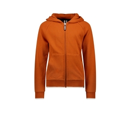 Overview image: Boys hooded cardigan