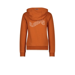 Overview second image: Boys hooded cardigan