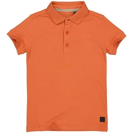 Overview image: Danyo polo