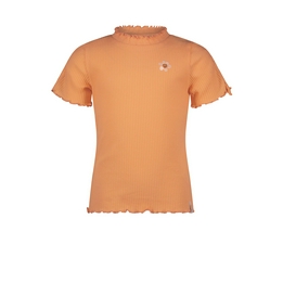 Overview image: Kaby rib tshirt halfsleeve