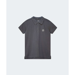 Overview image: polo