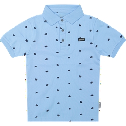 Overview image: polo