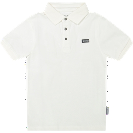 Overview image: polo