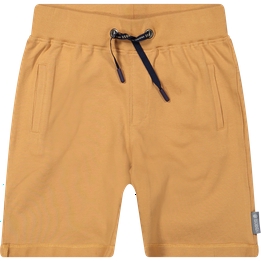 Overview image: short
