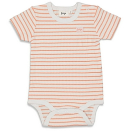 Overview image: romper streep