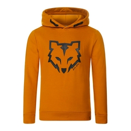 Overview image: Sweater with hood ls