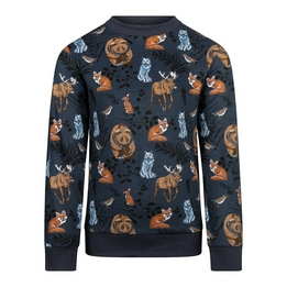 Overview image: Sweater ls