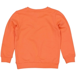 Overview second image: Almar sweater