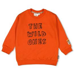 Overview image: Sweater - Fly Wild