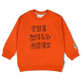 Overview image: Sweater - Fly Wild