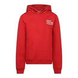 Overview image: sweater with hood