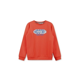 Overview image: Boys chest print sweater