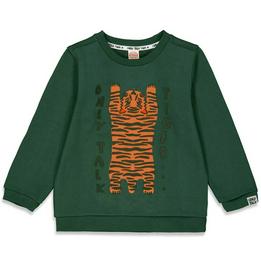 Overview image: Sweater-Talking Tiger
